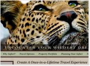 CT Copywriting - Web Copywriting, SEO Copywriting for Classic Africa