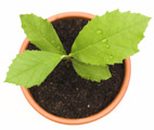 Web Design Company in CT Connecticut