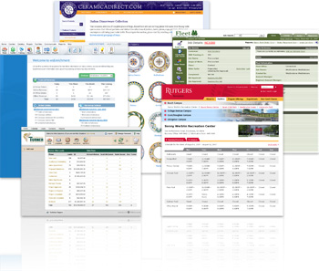 Custom Web Applications