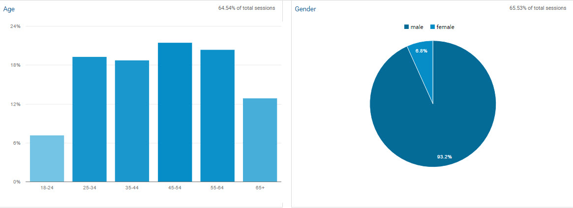 Audience report example