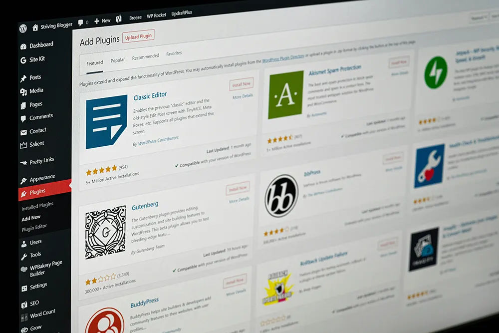 Screenshot of WordPress plugins.
